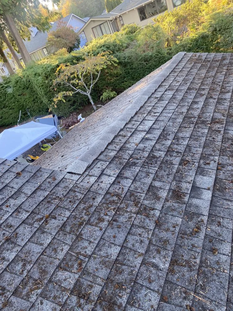 Top-rated landscape installation in Belfair, WA - FG Landscape