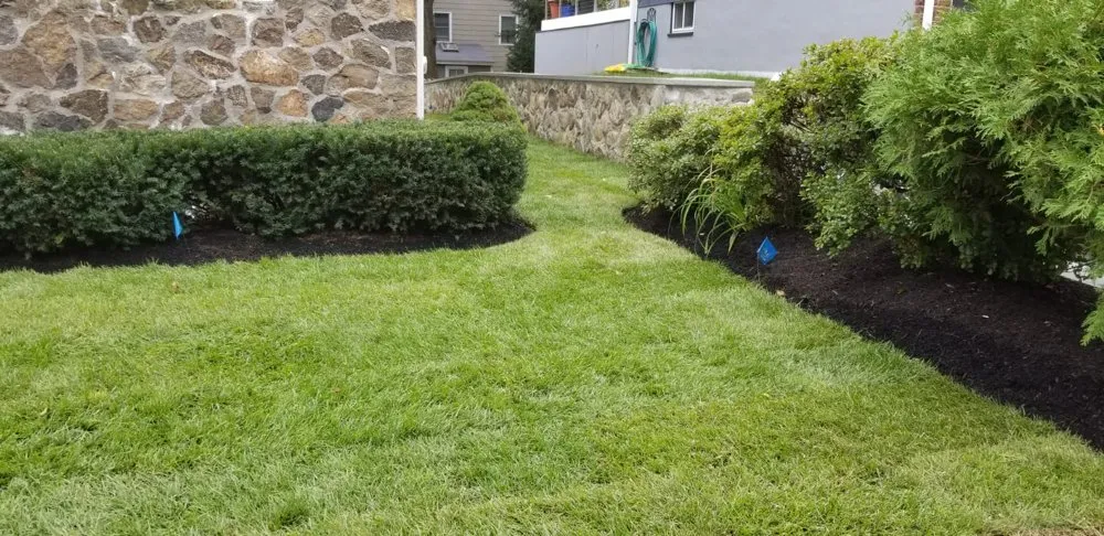 Professional landscape installation experts serving Waltham, MA - FG Landscape