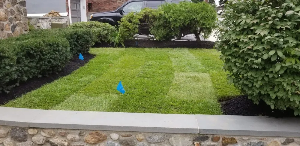 Professional landscape installation in Waltham, MA by FG Landscape