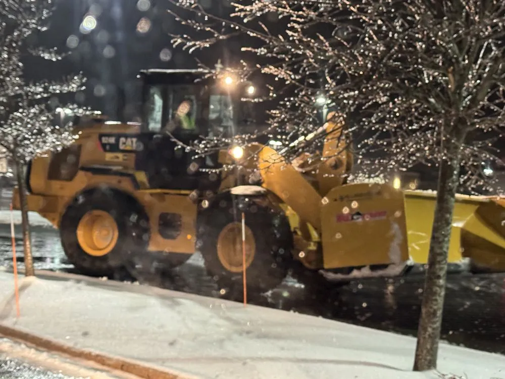 Custom lawn care service experts serving Waltham, MA - FG Landscape