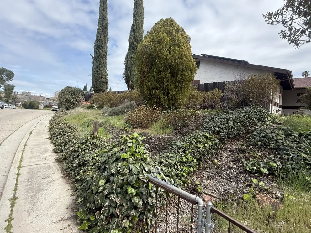 Reliable landscape installation with custom design across Paso Robles, CA - FG Landscapes