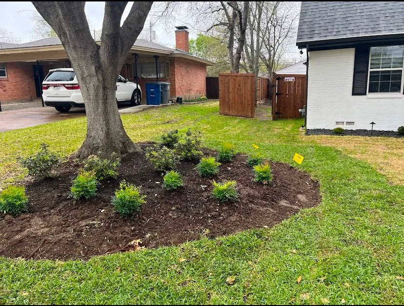 Trusted lawn care service experts serving Dallas, TX - F&G Landscaping and Irrigation Maintenance