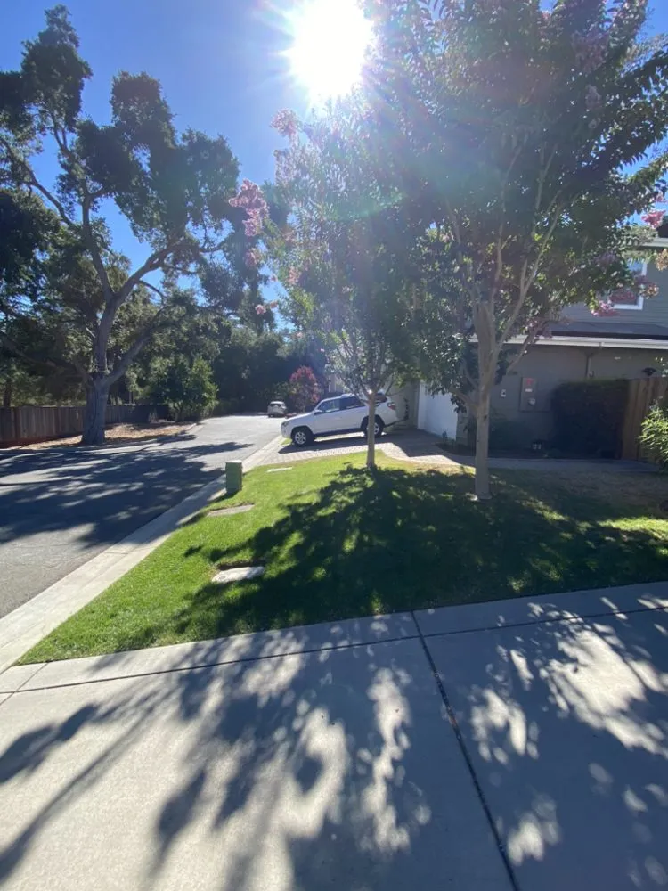 Top-rated landscape installation with custom design in Watsonville, CA by FG Landscaping and Maintenance