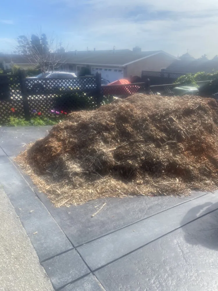 Local outdoor landscaping for beautiful yards across Watsonville, CA - FG Landscaping and Maintenance