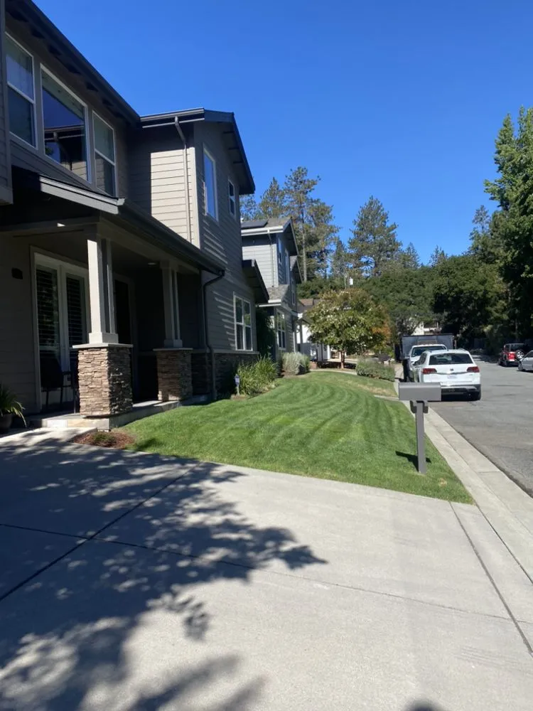 Custom outdoor landscaping in Watsonville, CA by FG Landscaping and Maintenance