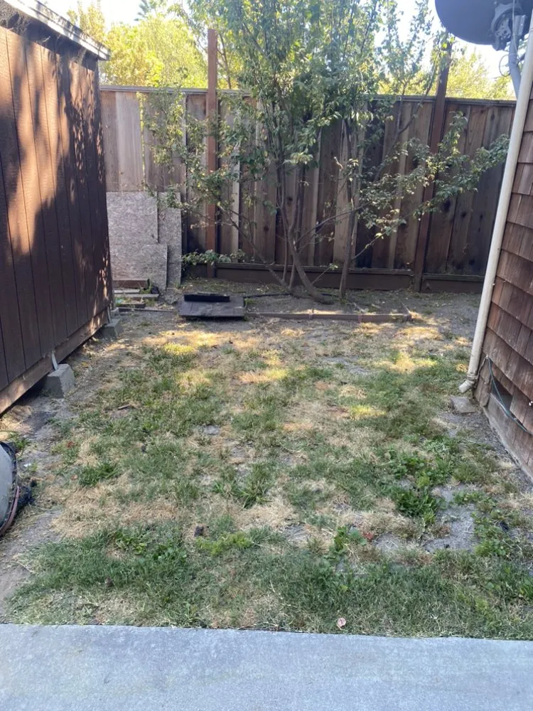 Expert yard cleanup service for beautiful yards across Watsonville, CA - FG Landscaping and Maintenance