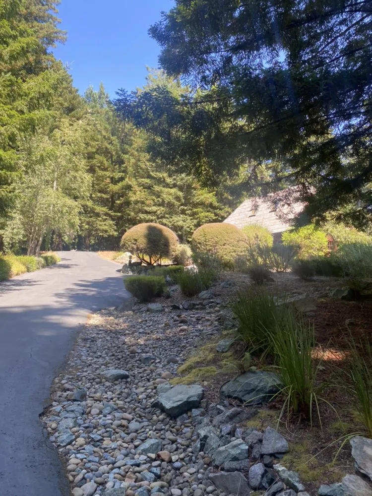 Top-rated landscaping services near you in Watsonville, CA by FG Landscaping and Maintenance