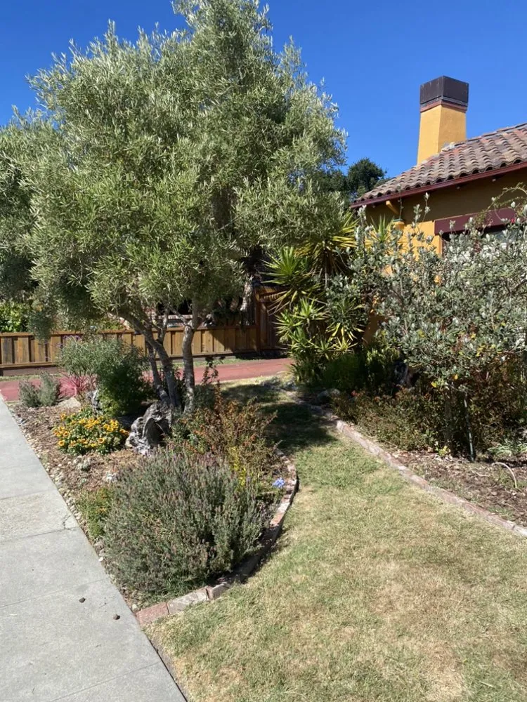 Trusted landscaping services in Watsonville, CA - FG Landscaping and Maintenance