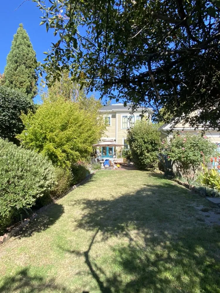 Custom lawn mowing service in Watsonville, CA - FG Landscaping and Maintenance