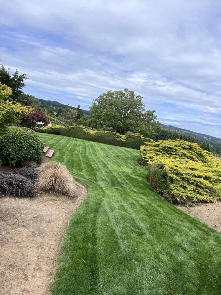 Expert yard cleanup service with custom design across Hillsboro, OR - FG Landscaping