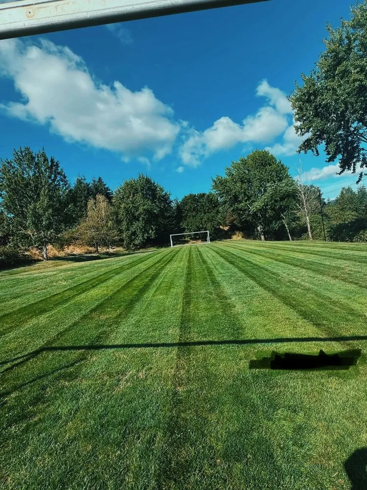 Expert yard cleanup service experts serving Hillsboro, OR - FG Landscaping