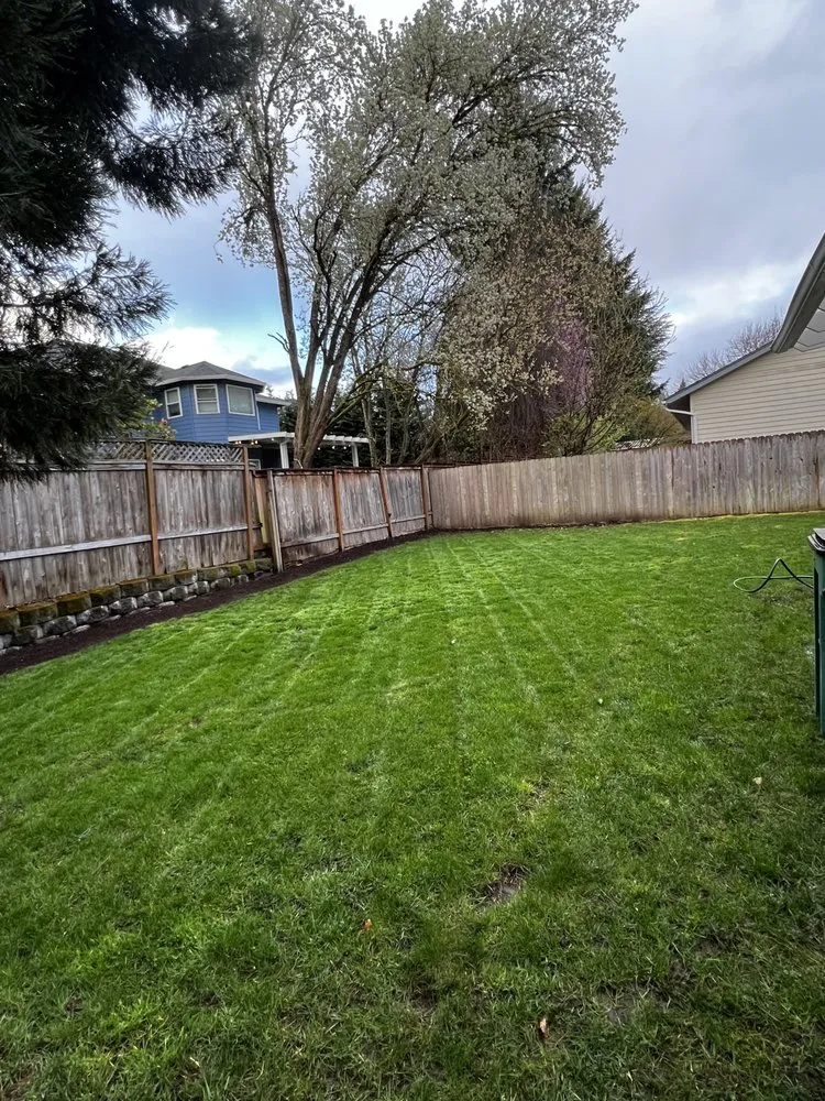 Custom yard cleanup service in Hillsboro, OR - FG Landscaping