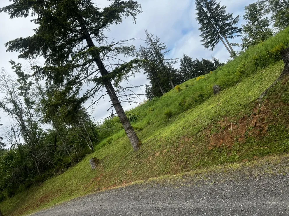 Custom lawn care service with custom design across Hillsboro, OR - FG Landscaping