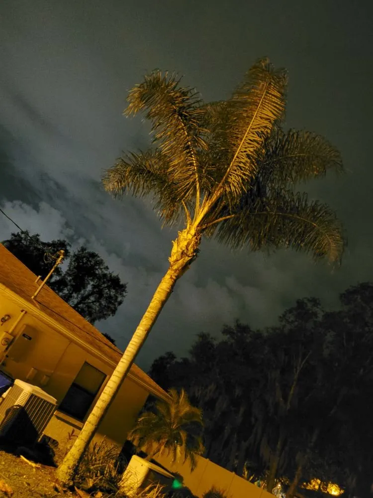 Expert landscaping services for homes in Avon Park, FL by FG Lawn & Landscaping Corp