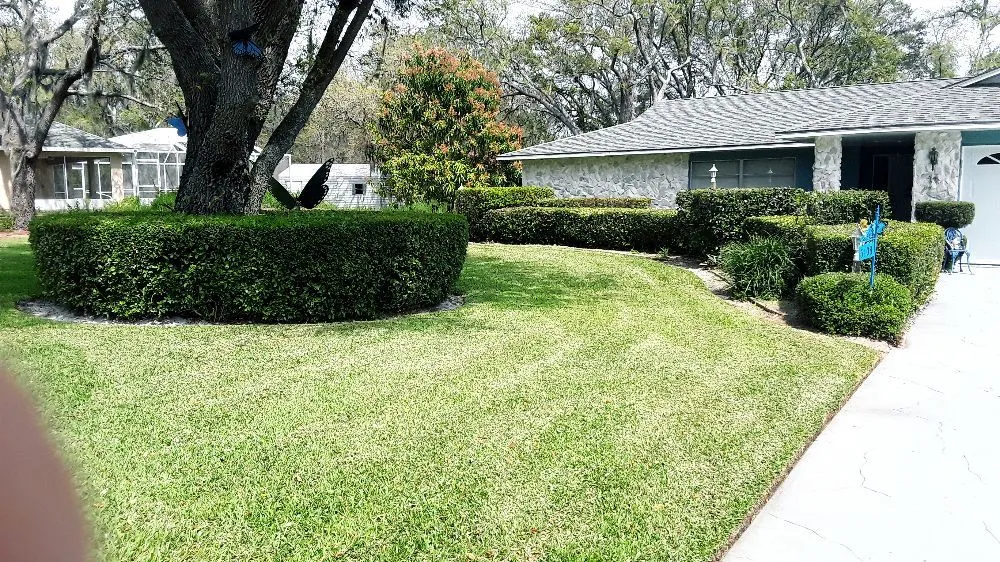 Affordable landscape installation for outdoor upgrades in Avon Park, FL by FG Lawn & Landscaping Corp