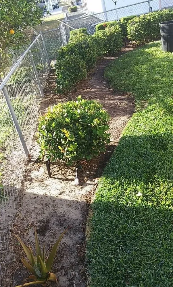 Professional outdoor landscaping in Avon Park, FL - FG Lawn & Landscaping Corp
