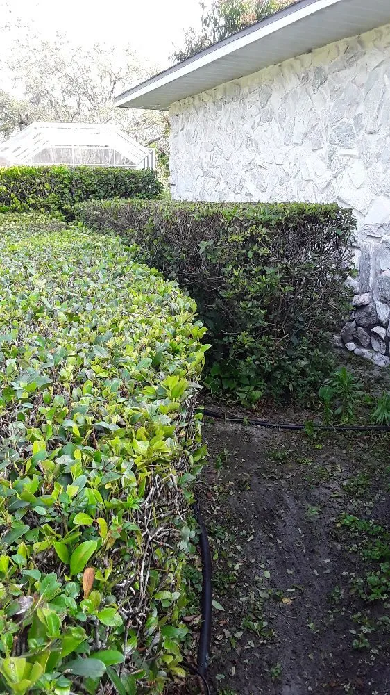 Professional landscape design for outdoor upgrades across Avon Park, FL - FG Lawn & Landscaping Corp