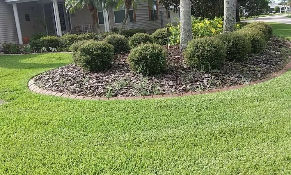 Reliable landscaping services in Avon Park, FL - FG Lawn & Landscaping Corp