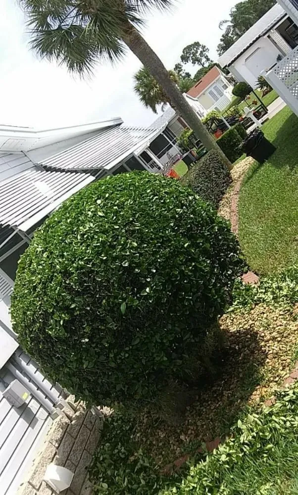 Professional outdoor landscaping experts serving Avon Park, FL - FG Lawn & Landscaping Corp