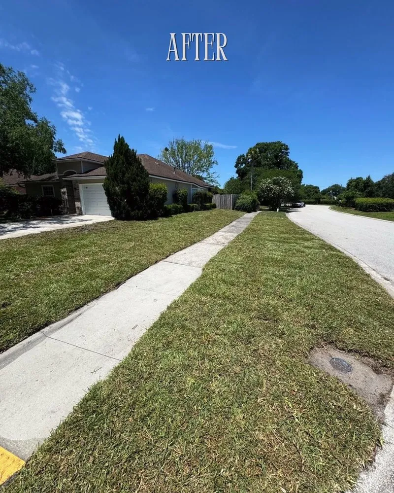 Local residential landscaping for year-round maintenance across Jacksonville, FL - FG Prime Solutions