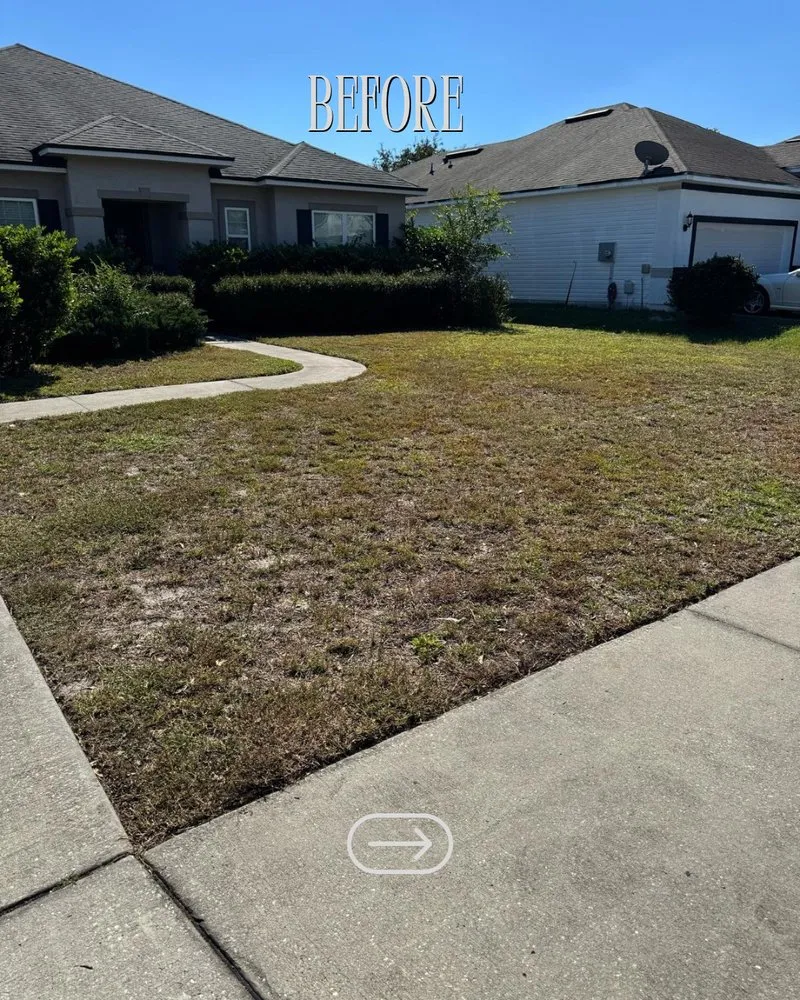 Reliable landscaping services for outdoor upgrades across Jacksonville, FL - FG Prime Solutions