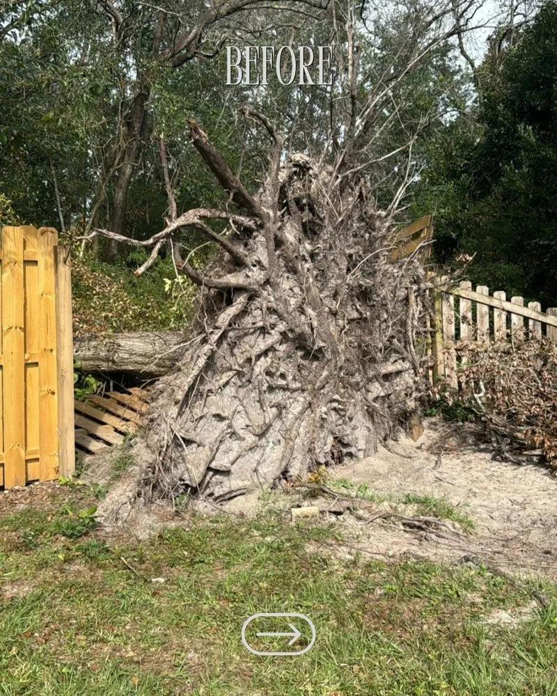 Custom landscape design for outdoor upgrades across Jacksonville, FL - FG Prime Solutions