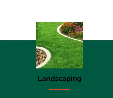 Professional outdoor landscaping experts serving Tampa, FL - FG Tree Services