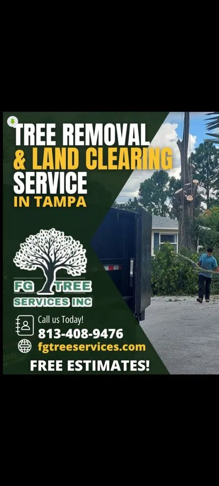 Affordable yard cleanup service for residential properties in Tampa, FL by FG Tree Services