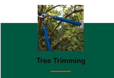 Expert garden landscaping in Tampa, FL by FG Tree Services