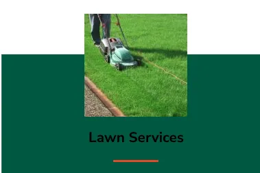 Affordable landscaping services for outdoor upgrades in Tampa, FL by FG Tree Services