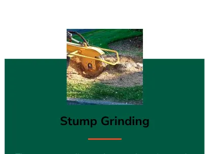 Custom lawn care service for homes in Tampa, FL by FG Tree Services