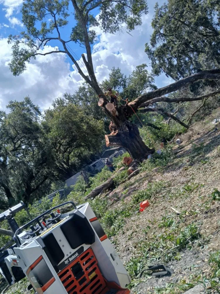 Custom landscape design experts serving Tampa, FL - FG Tree Services