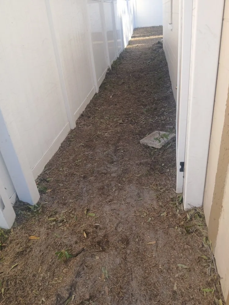 Affordable landscape installation in Tampa, FL - FG Tree Services