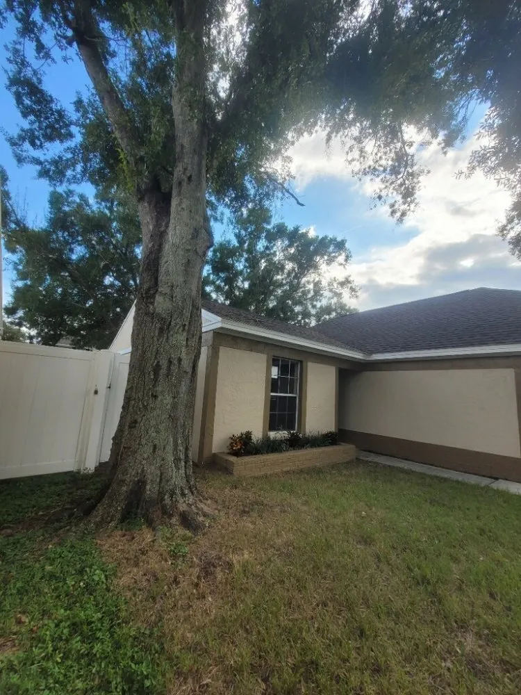 Local garden landscaping for year-round maintenance in Tampa, FL by FG Tree Services