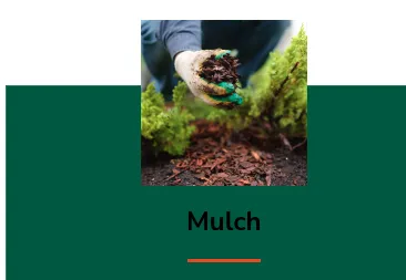 Reliable residential landscaping in Tampa, FL - FG Tree Services