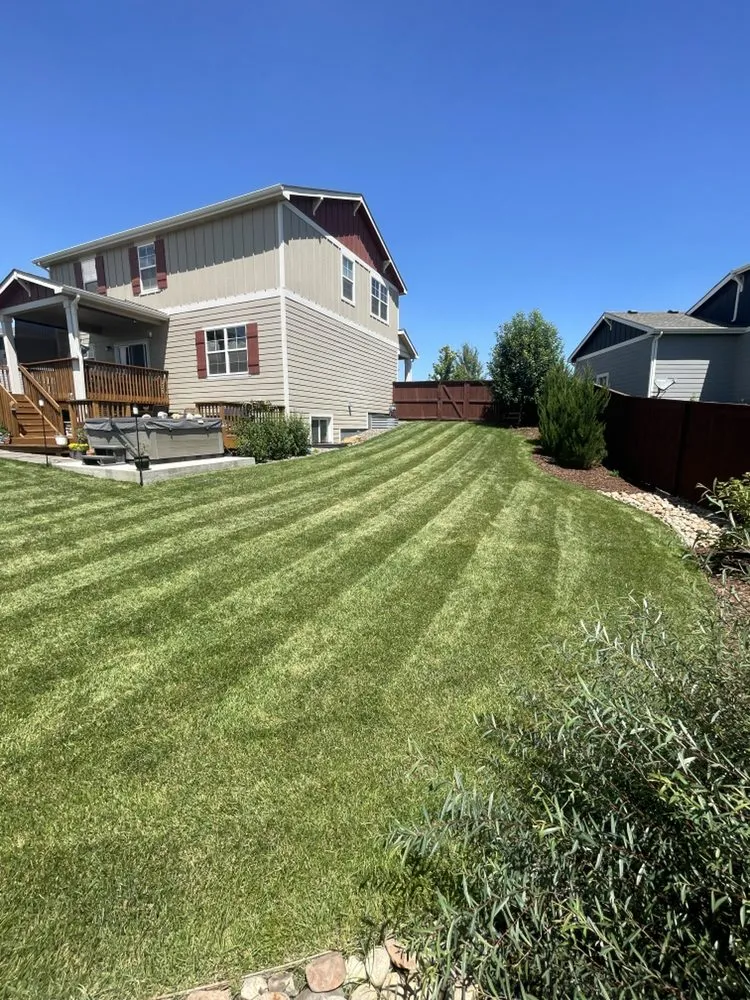Local landscape design for year-round maintenance across Windsor, CO - FGF Mowing