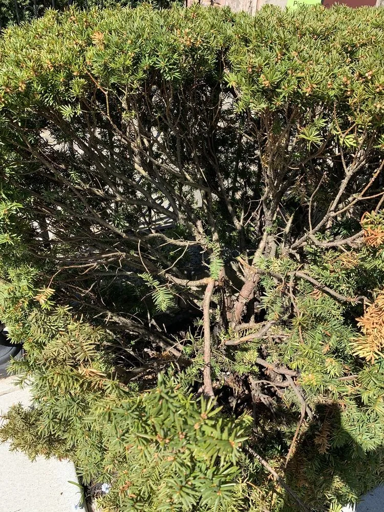 Reliable outdoor landscaping near you across Buffalo, NY - FGI Landscaping