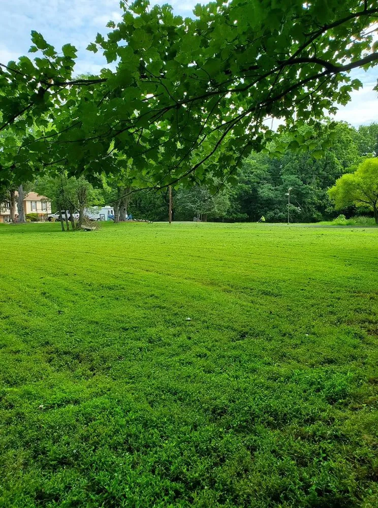 Affordable landscape design in Brentwood, NY - F&H Landscaping