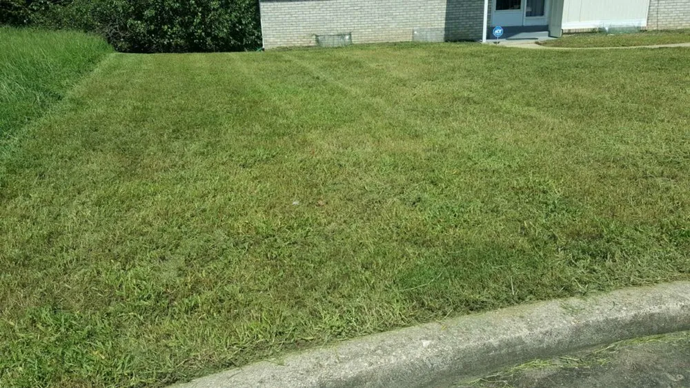 Affordable yard cleanup service in Brentwood, NY - F&H Landscaping