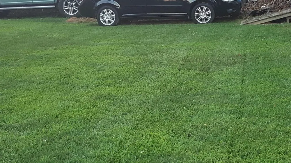 Custom yard cleanup service experts serving Brentwood, NY - F&H Landscaping