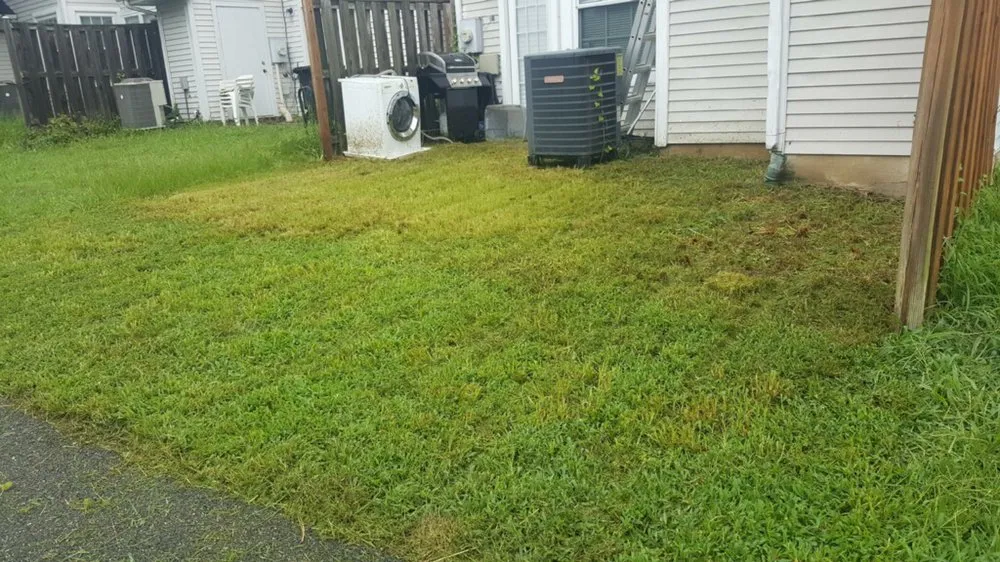 Affordable landscaping services for outdoor upgrades across Brentwood, NY - F&H Landscaping