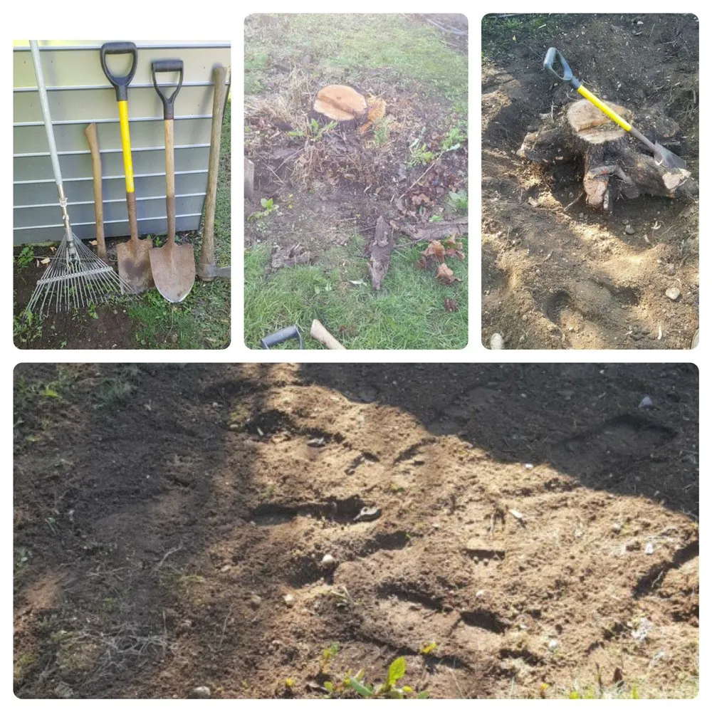 Local residential landscaping for beautiful yards in Brentwood, NY by F&H Landscaping