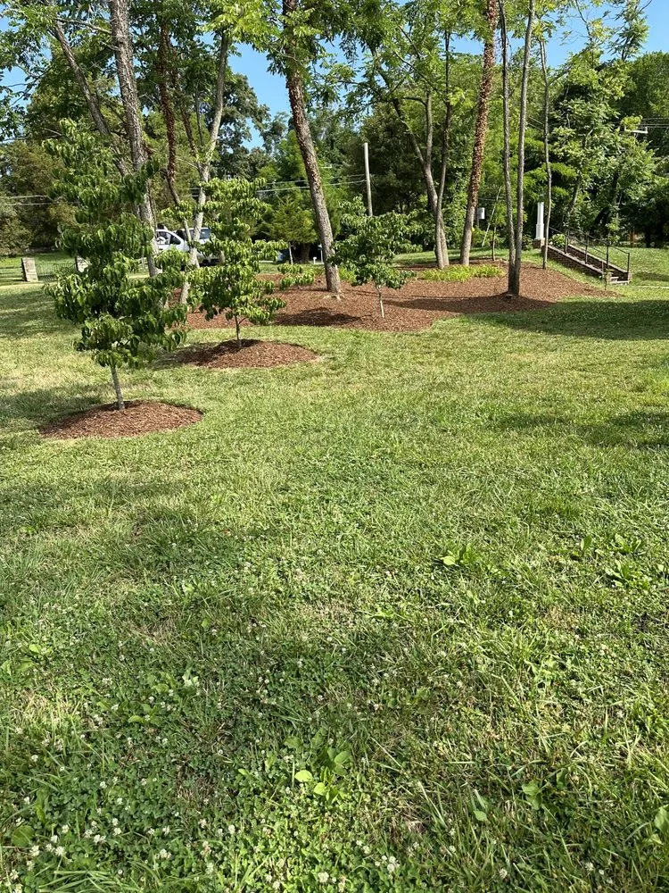 Expert yard cleanup service in Fredericksburg, VA - FH Landscaping