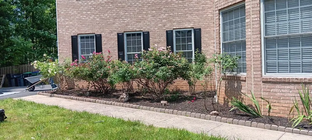 Custom yard cleanup service in Fredericksburg, VA - FH Landscaping