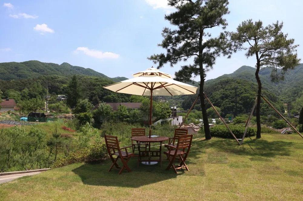 Expert lawn care service experts serving Petaluma, CA - FH Landscaping