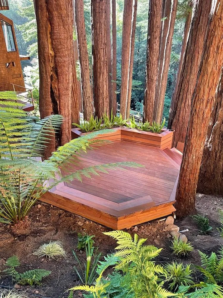 Professional landscaping services in Petaluma, CA - FH Landscaping