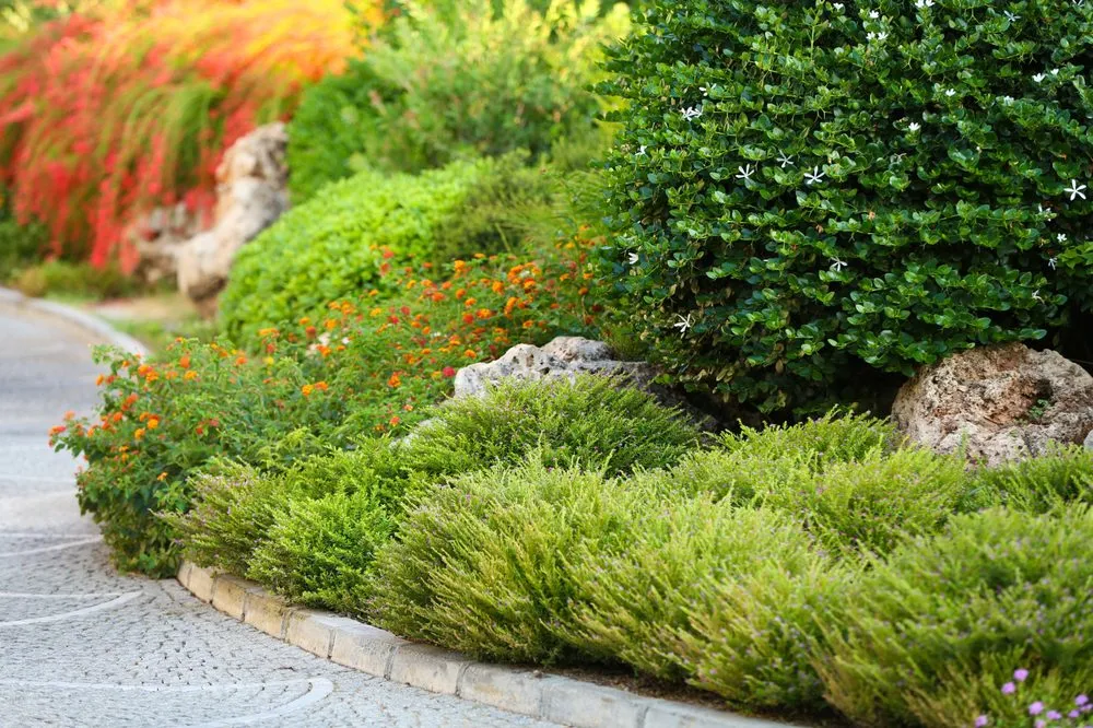 Expert yard maintenance in Petaluma, CA by FH Landscaping
