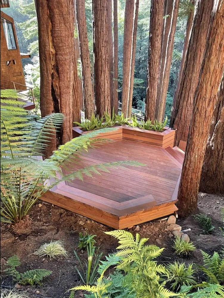 Local landscaping services experts serving Petaluma, CA - FH Landscaping