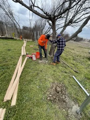 F&H Lawn Construction Services