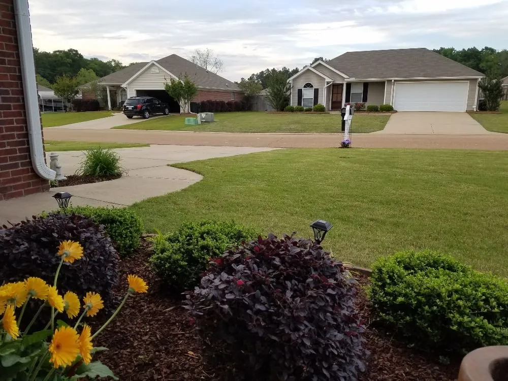 Professional yard maintenance in Brandon, MS by F&H Lawn Service